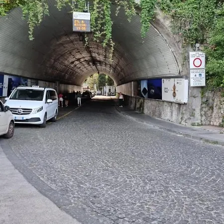 Gelsomino